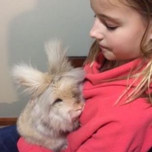 Meet your Posher, Jordan